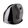Evoluent VerticalMouse D Large Wireless