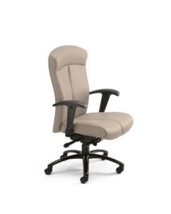 ergonomic office chairs St. Louis County, MO/Ergonomic Office Chairs for Sale St. Louis County, MO